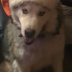 Meet your Posher, Patti